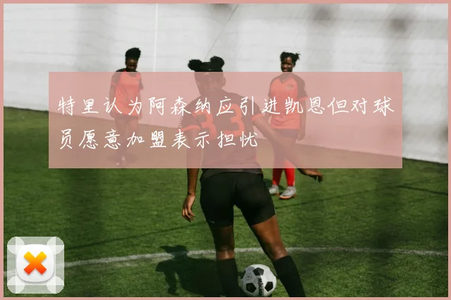 特里认为阿森纳应引进凯恩但对球员愿意加盟表示担忧