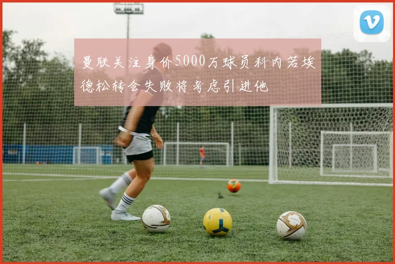 曼联关注身价5000万球员科内若埃德松转会失败将考虑引进他