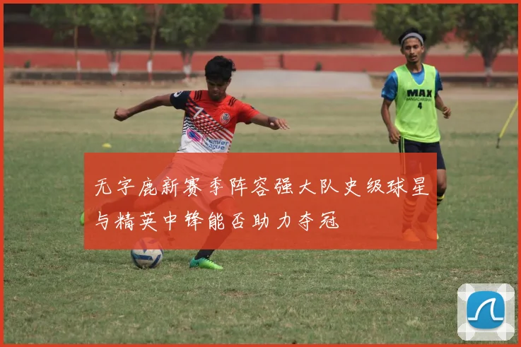 无字鹿新赛季阵容强大队史级球星与精英中锋能否助力夺冠