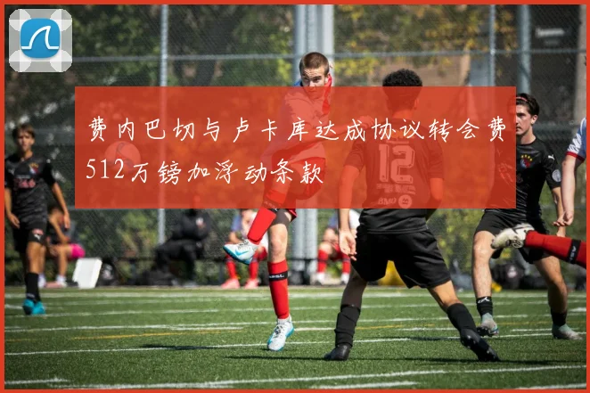 费内巴切与卢卡库达成协议转会费512万镑加浮动条款